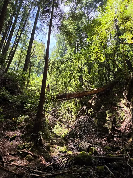 Hiking with Juliette